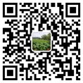 青青草污视频厂家